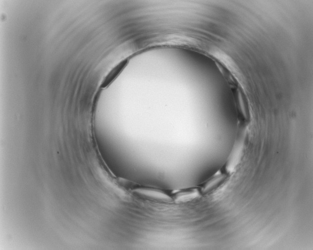 X0000088640850200706151940