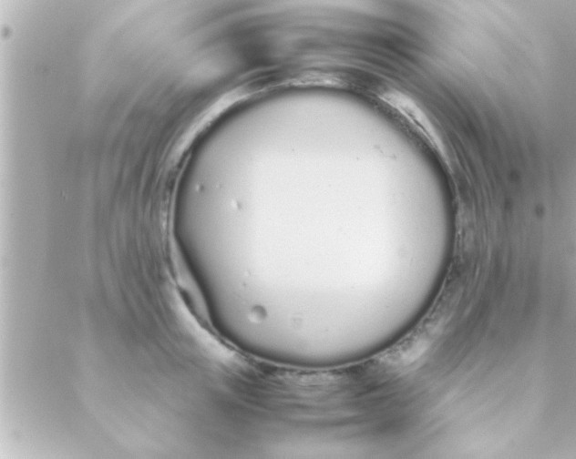 X0000088640851200706151940