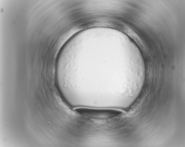 X0000088640852200706151940