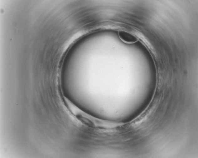 X0000088640853200706151940