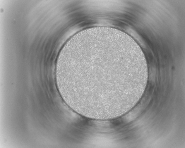 X0000088640856200706151940