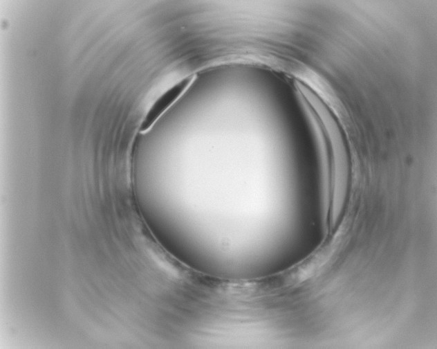 X0000088640858200706151940