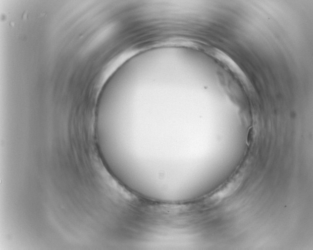 X0000088640860200706151941