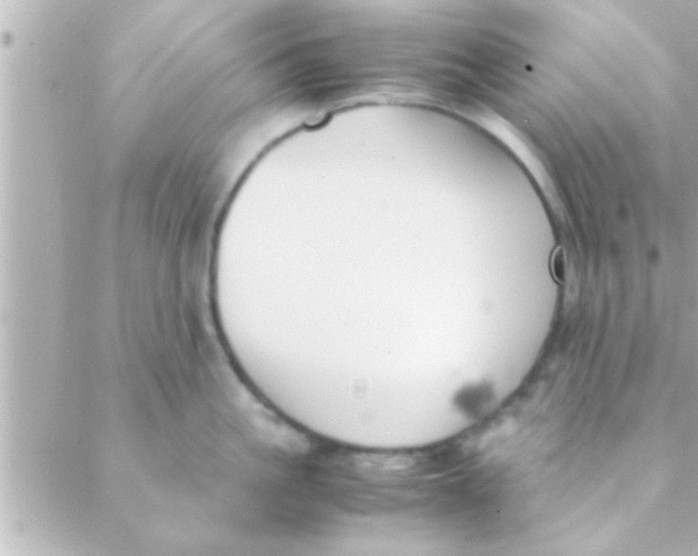 X0000088640861200706151941