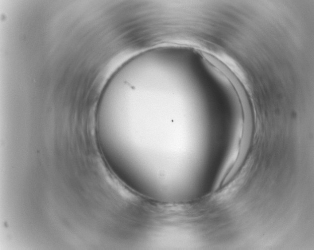 X0000088640862200706151941