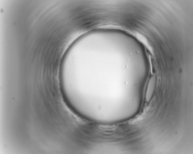 X0000088640863200706151941