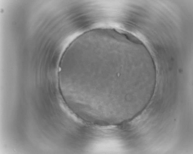 X0000088640864200706151941