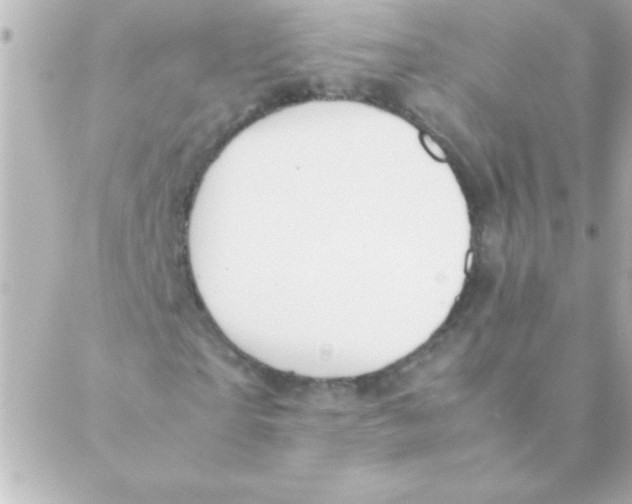 X0000088640865200706151940