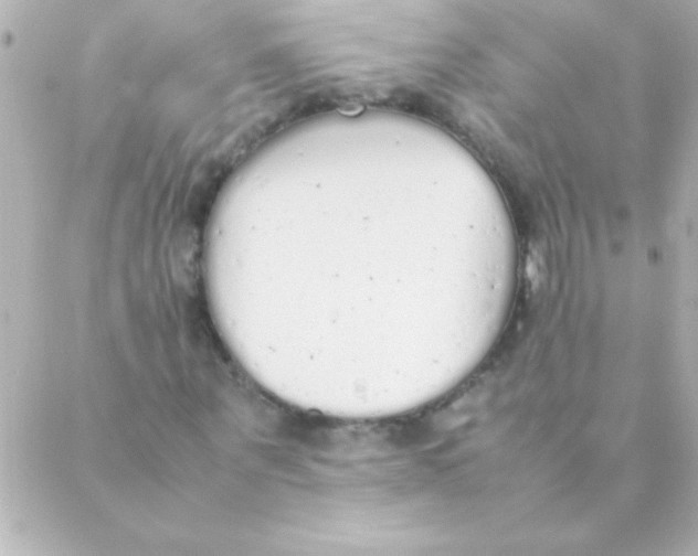 X0000088640867200706151940