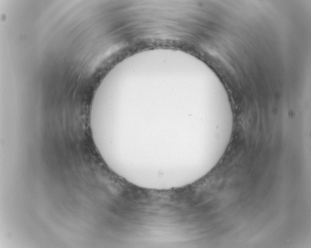 X0000088640870200706151940