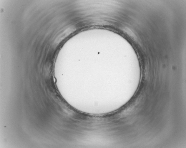 X0000088640873200706151940