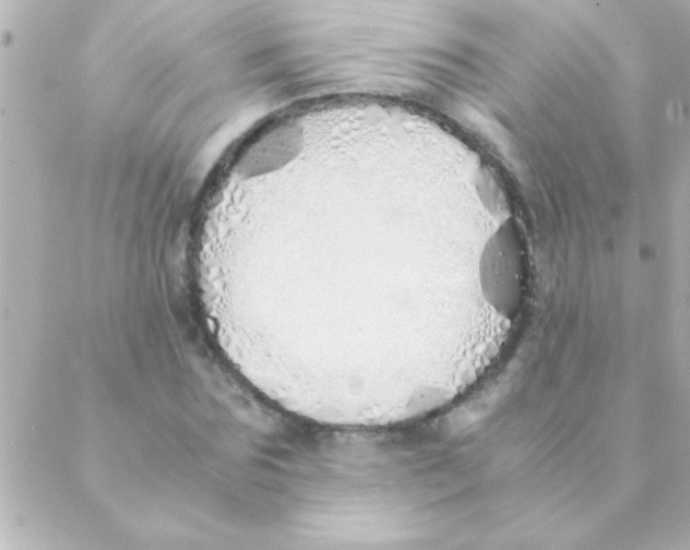 X0000088640875200706151940