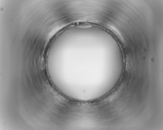 X0000088640876200706151940