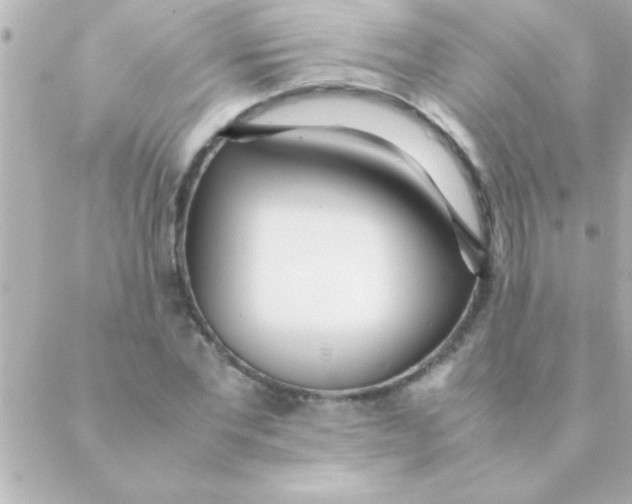 X0000088640877200706151940