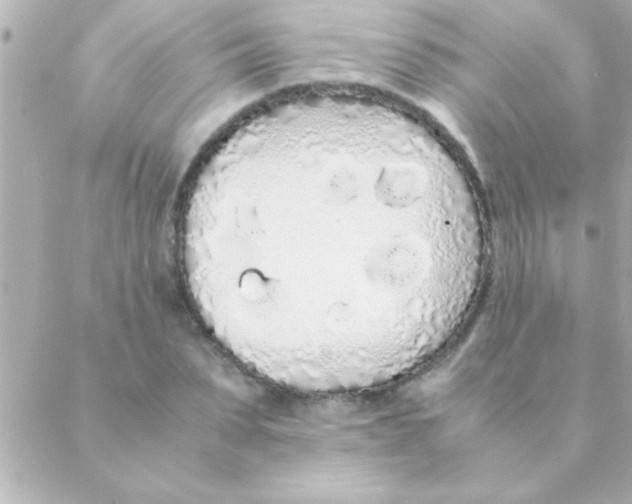 X0000088640879200706151940