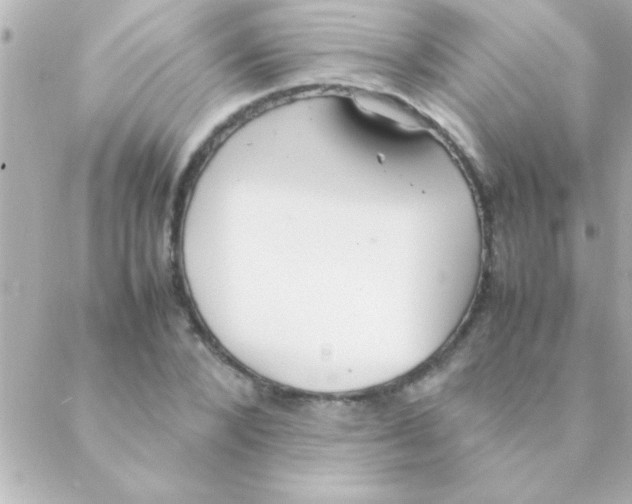 X0000088640880200706151940