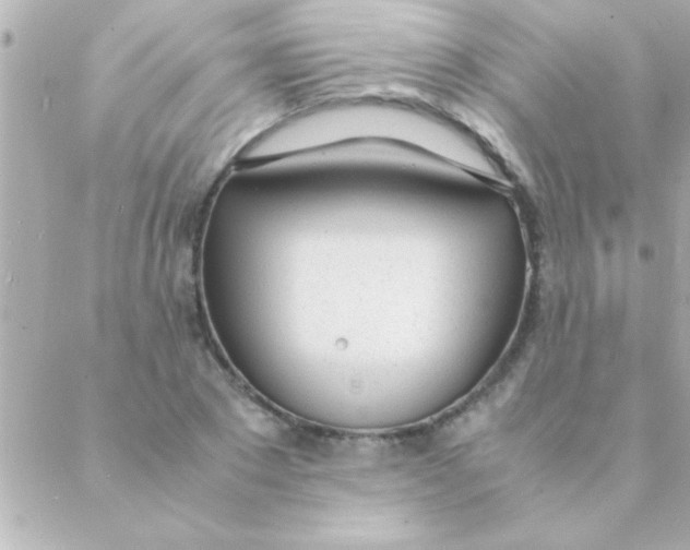 X0000088640881200706151940