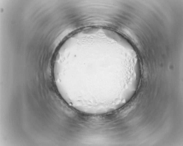 X0000088640883200706151939