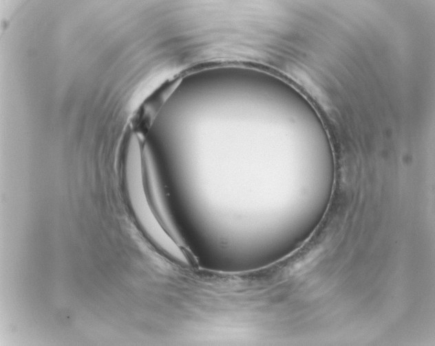 X0000088640885200706151939