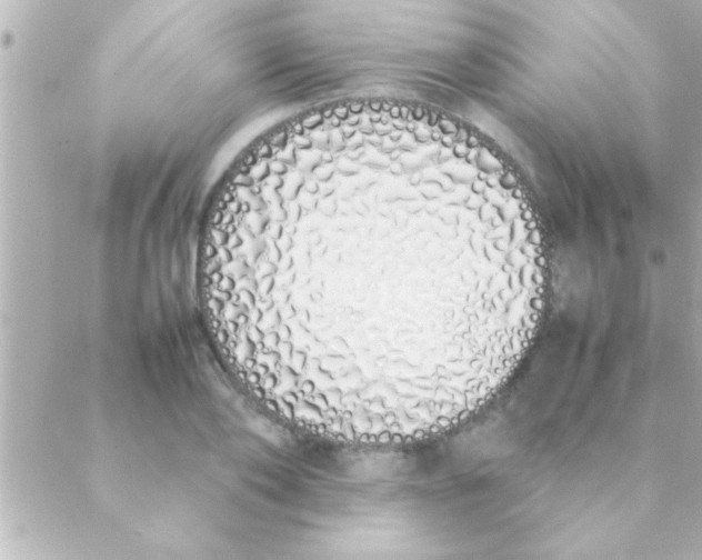 X0000088640886200706151939