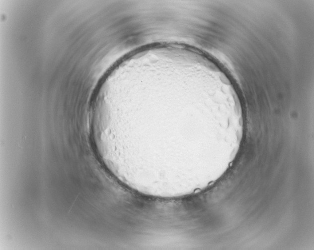 X0000088640887200706151939