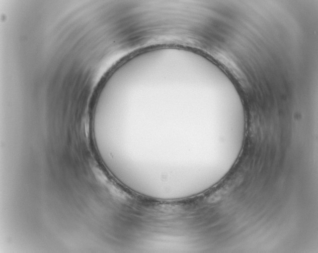 X0000088640888200706151939