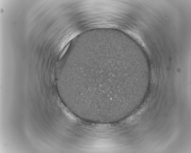 X0000088640889200706151939