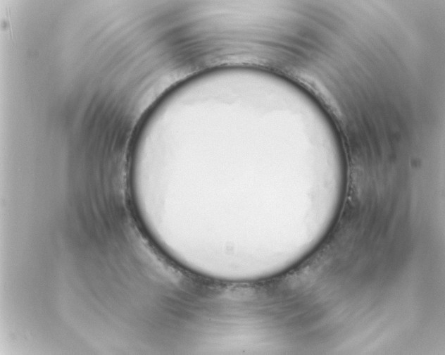 X0000088640890200706151939