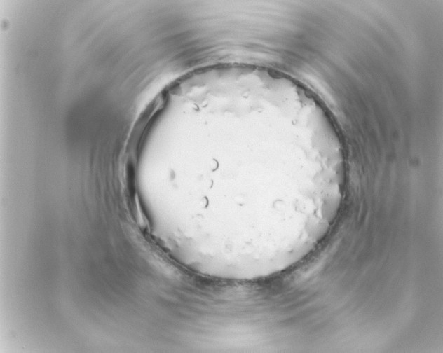 X0000088640891200706151939