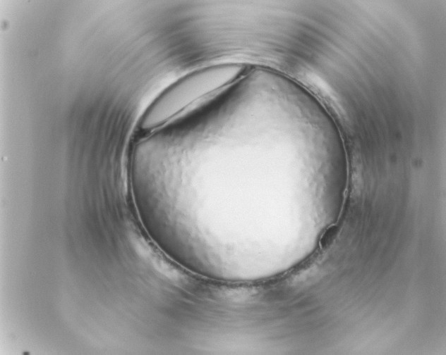 X0000088640892200706151939