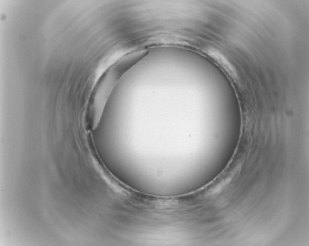 X0000088640893200706151939