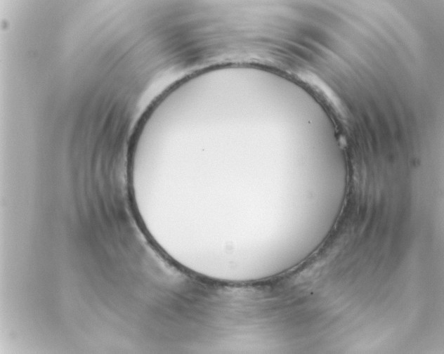 X0000088640894200706151939