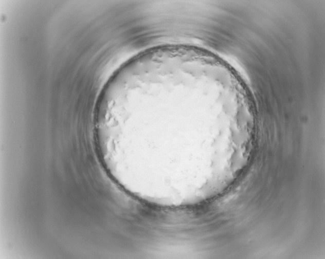 X0000088640895200706151939