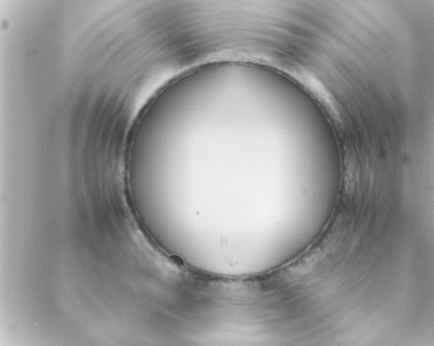 X0000088640896200706151939