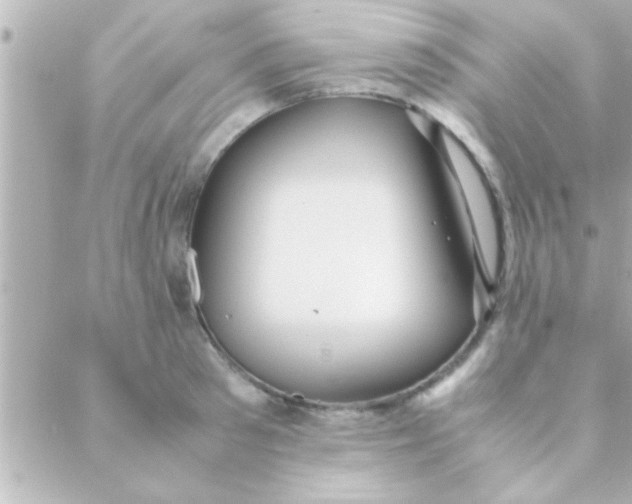 X0000088640897200706151939