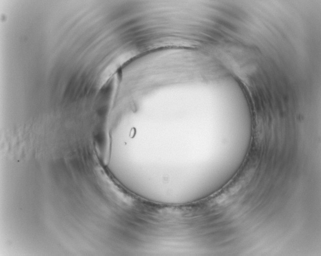 X0000088640898200706151939