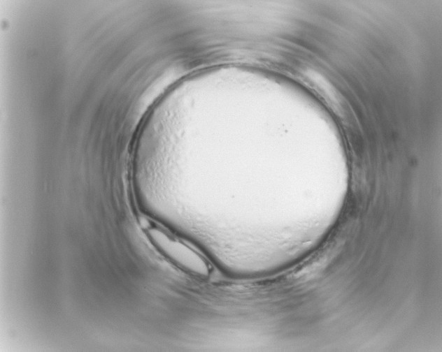 X0000088640899200706151939