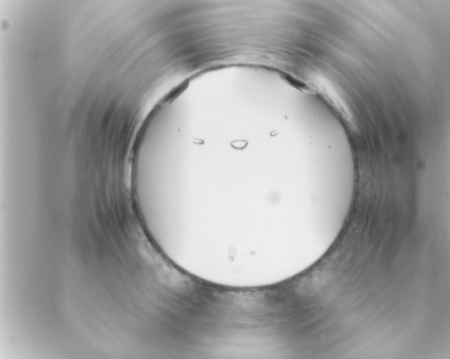 X0000088640900200706151939