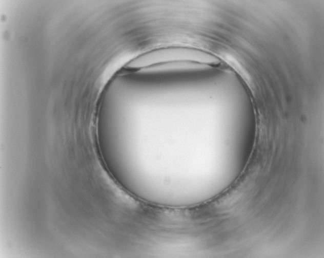 X0000088640901200706151939