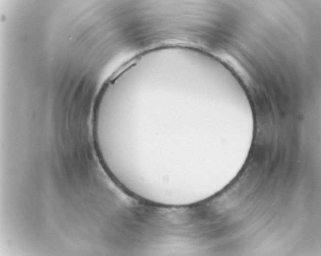 X0000088640902200706151939