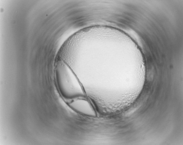 X0000088640903200706151939