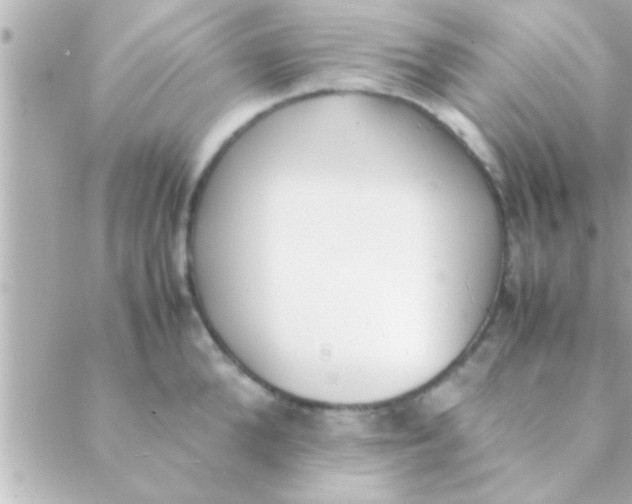 X0000088640904200706151939