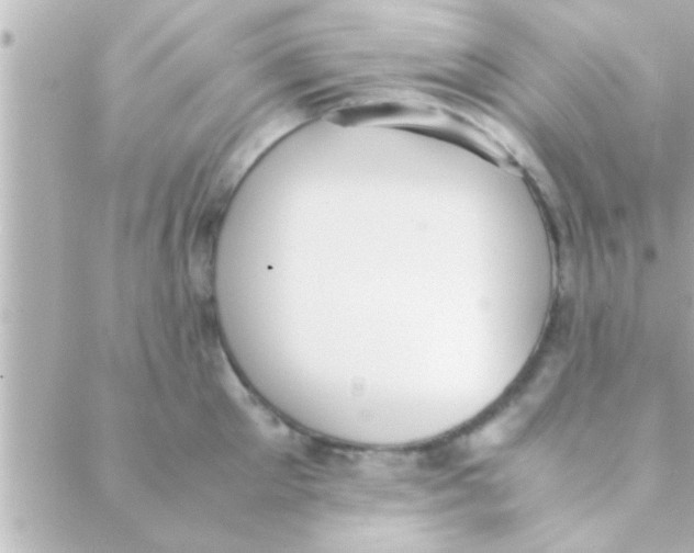 X0000088640905200706151939