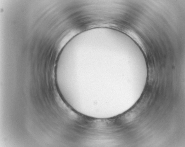 X0000088640906200706151939