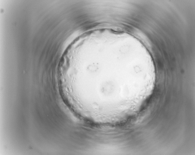 X0000088640907200706151939