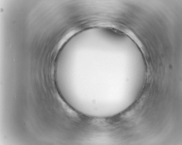 X0000088640909200706151939