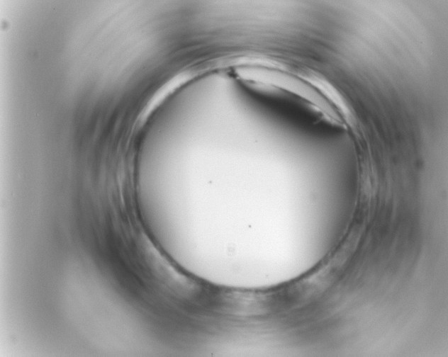 X0000088640910200706151939