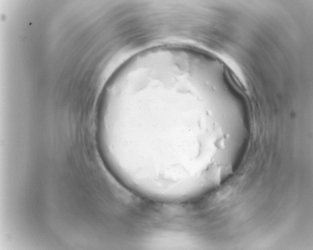 X0000088640911200706151939