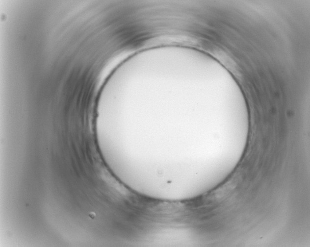 X0000088640912200706151939