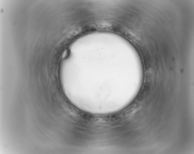 X0000088640913200706151938